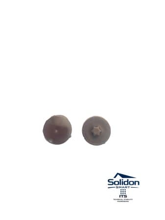 Capac plat maro inchis Torx TX30 pentru mascare șurub montaj